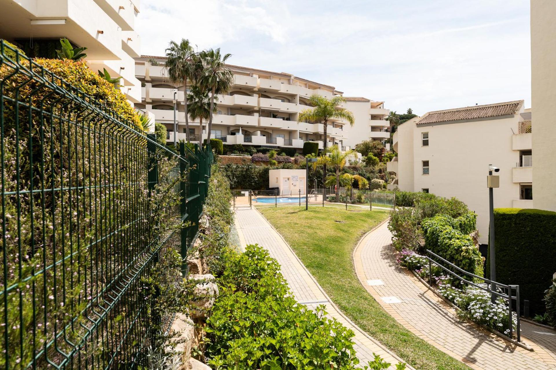 Ct 366 - Faro's Silent Dream In Elviria - *